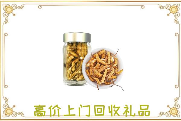 厦门周边回收虫草